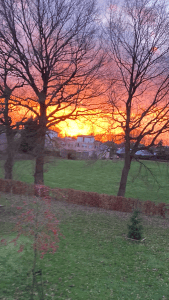 Sunset