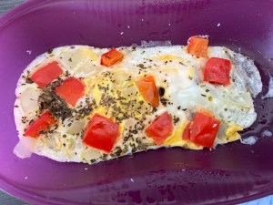Microwave Omelette